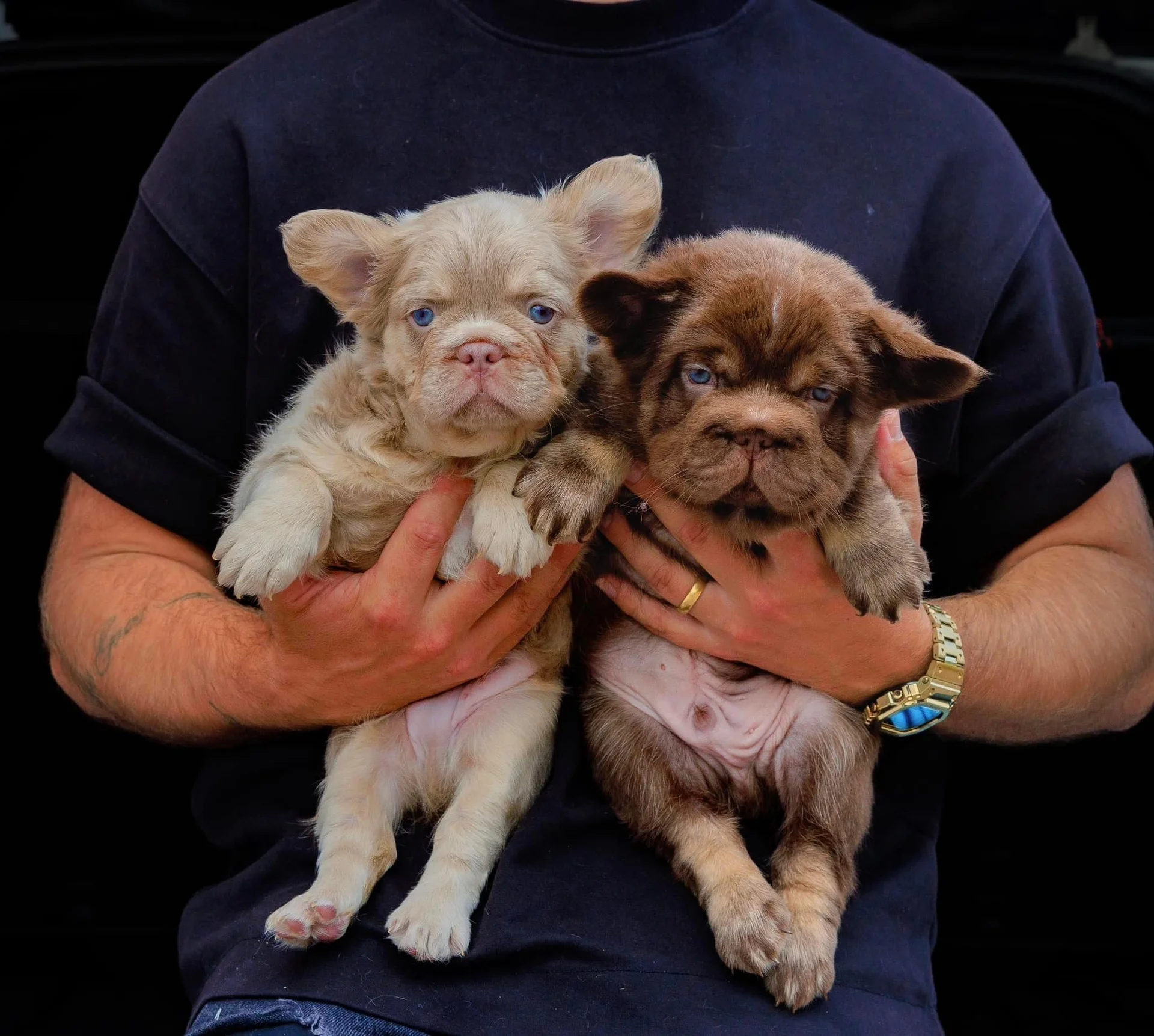 BFF macho vs. hembra: diferencias y precios