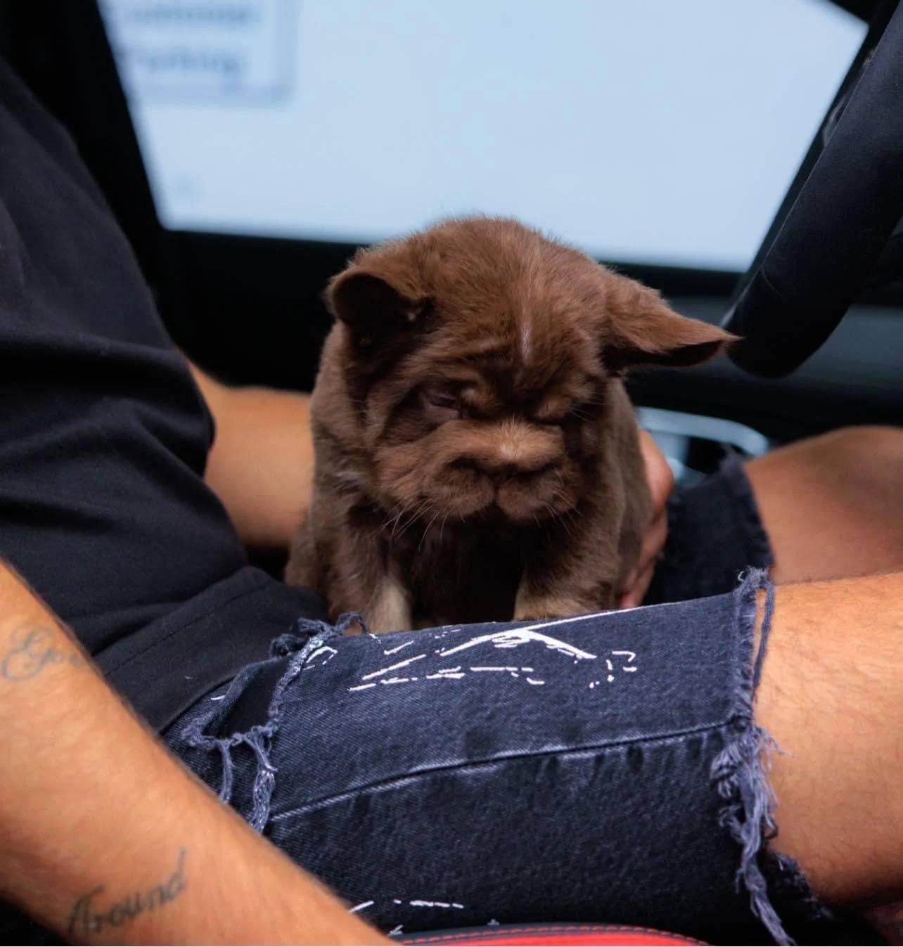 Red flags al comprar un BFF: estafas y fraudes