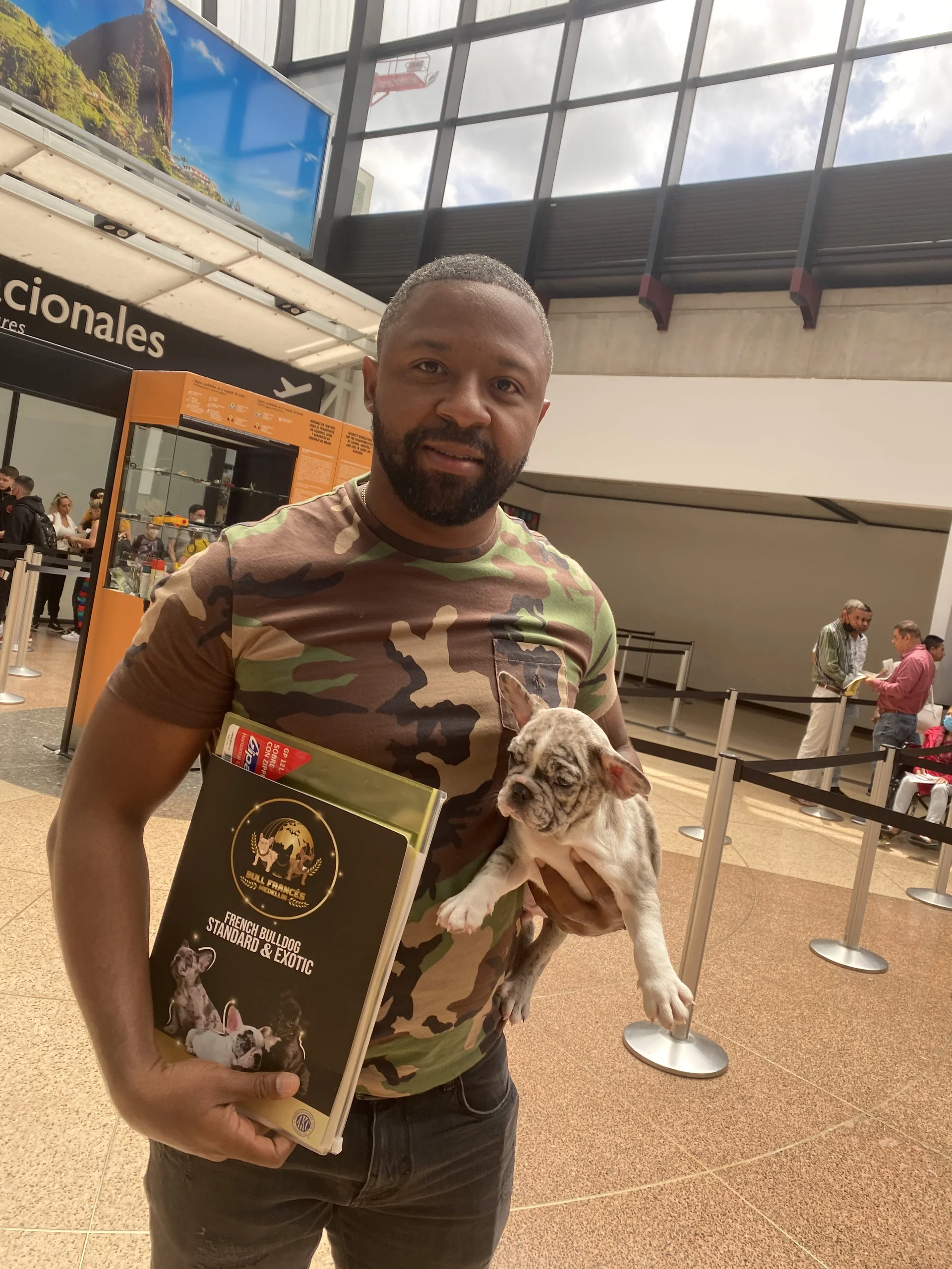 Bulldog Francés Fluffy viviendo en apartamento en ciudad