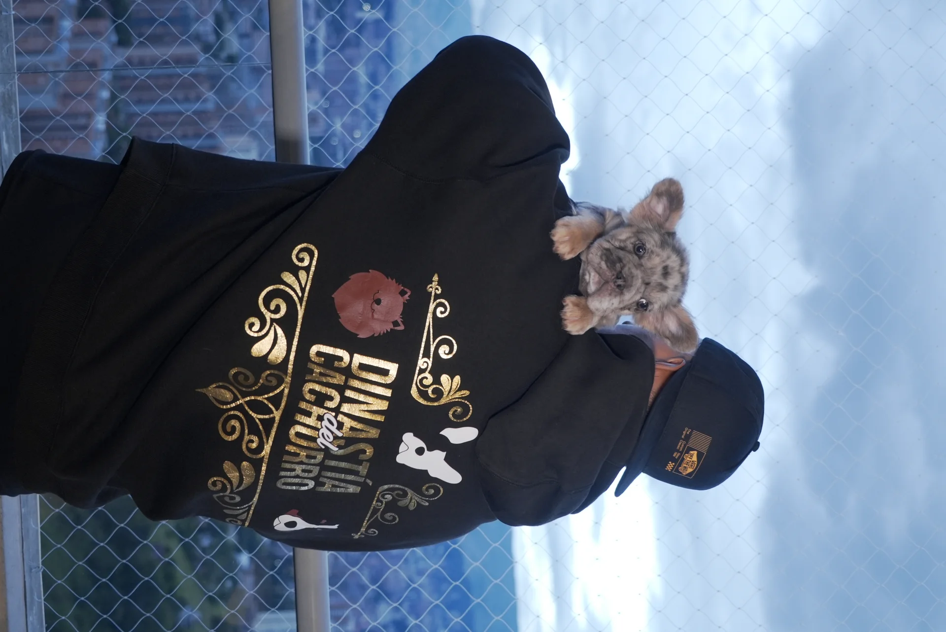 Bulldog Francés Fluffy con niños y familias